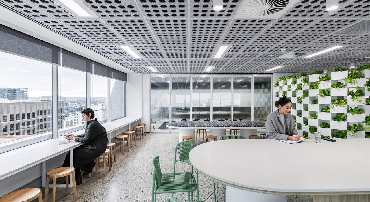 light grey sound absorbing ceiling tiles with circle cutout pattern above lounge area