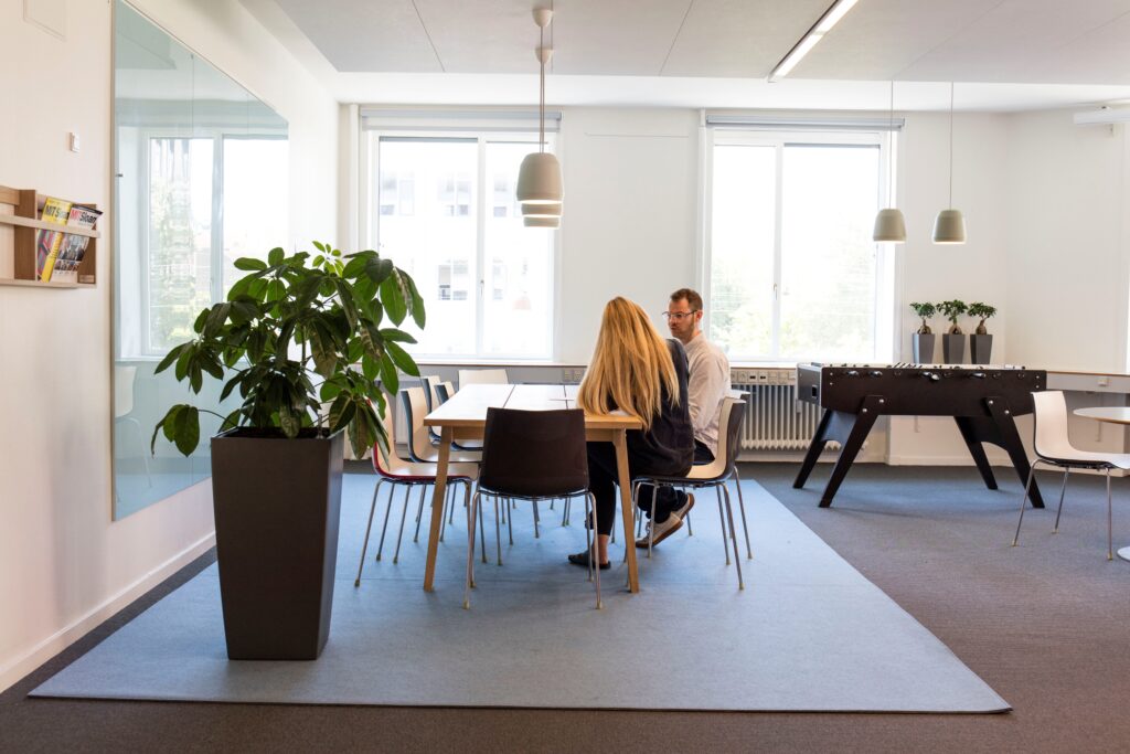 Fraster Felt Rug at Danish Agency for Digitalization