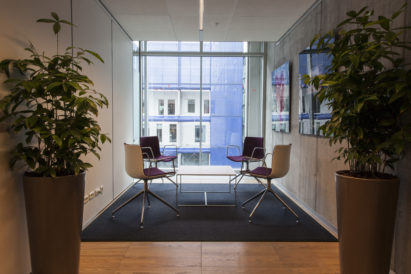 dark rectangular wool felt rug under chairs in office