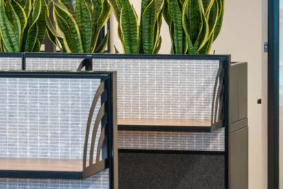How to Use Greenery In Your Decorative Acoustics?