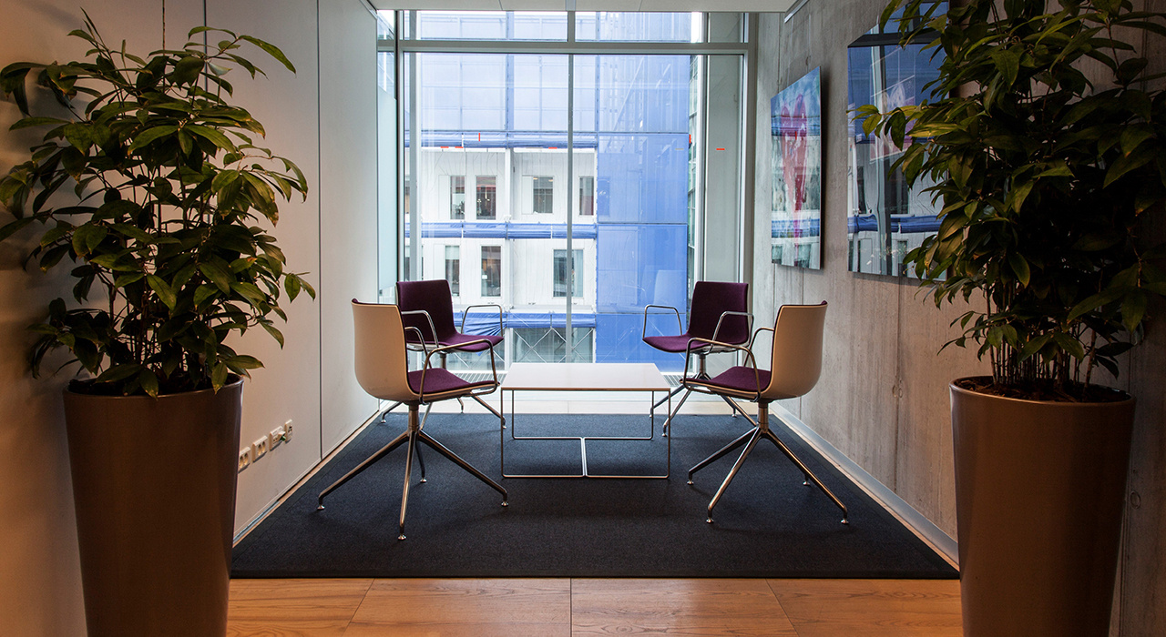 seating area with plants and window fraster felt rug underneath