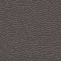 detail of a textured pale brown leather finish