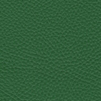 detail of a textured green leather finish