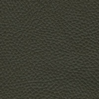 detail of a textured dark green leather finish
