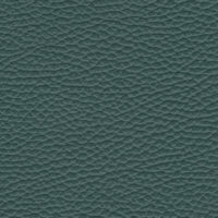 detail of a textured green-blue leather finish