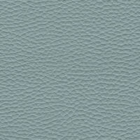 detail of a textured light blue leather finish