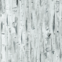 Studio Patterns Silver Gesso Wood