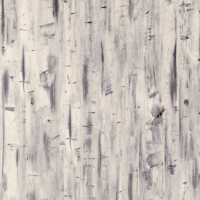 Studio Patterns Blonde Gesso Wood