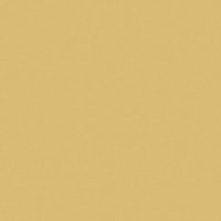 Optical Solids Pale Brass