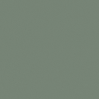 Optical Solids Evergreen